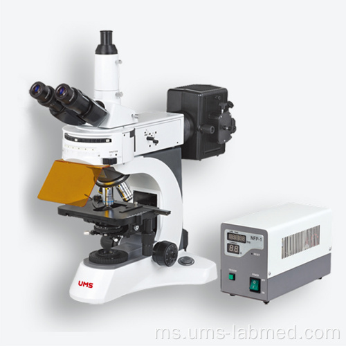 Mikroskop pendarfluor makmal U-800F